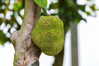 期待拉满 《巫师3》公布Steam Deck掌机运行画面